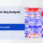 The Beginner’s guide to bulk RNA-Seq Analysis