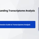 Understanding Transcriptome Analysis