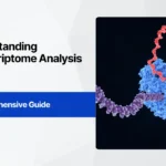 Understanding Transcriptome Analysis